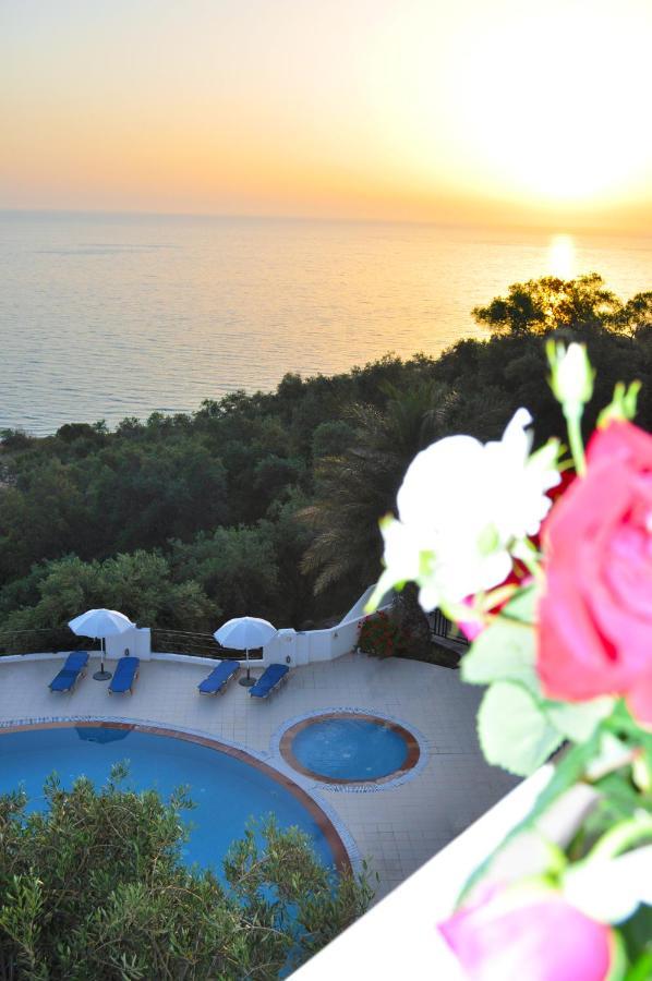 Holiday Apartments Maria With Pool - Agios Gordios Beach Bagian luar foto
